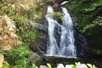 Mugo Waterfall
