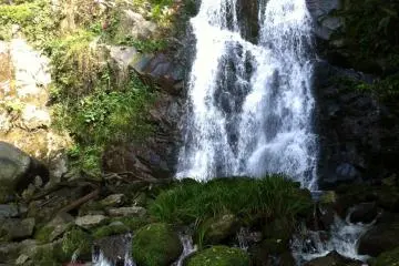 Mossy boulders