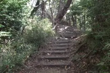More steps