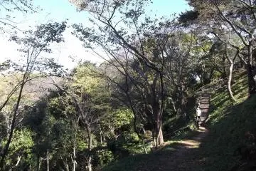 Not all the paths and steps are so steep