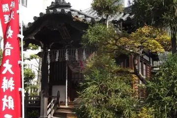 빌딩들로 둘러싸였지만 여전히 아름답다