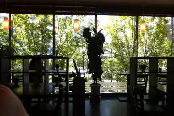 Greenery outside the windows