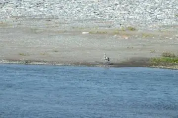 A bird enjoying the day
