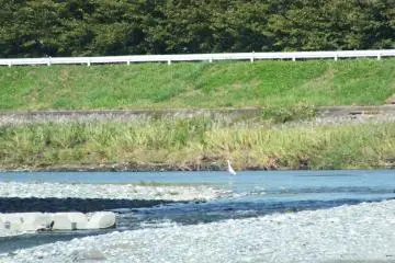 Another example of the wildlife in the area
