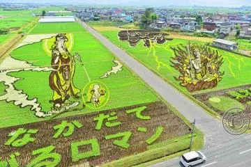 2012 design of Inakadate's rice art.