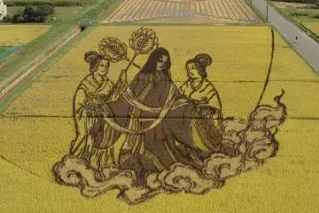 2011 rice art design.