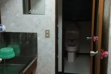 Bathroom area