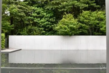 Aesthetic greenery
