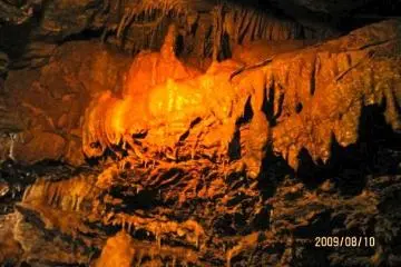 A close up look at the formations on a wall