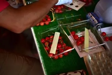 L-size cherries