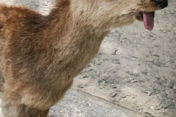 Making faces