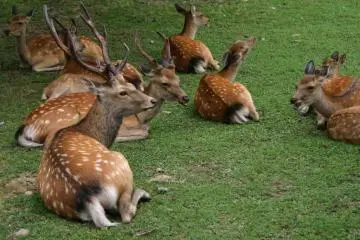 Time for a nap
