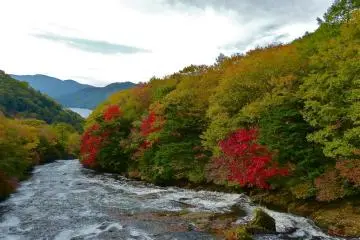 Le changement des couleurs commence le long de la rivière Yukawa