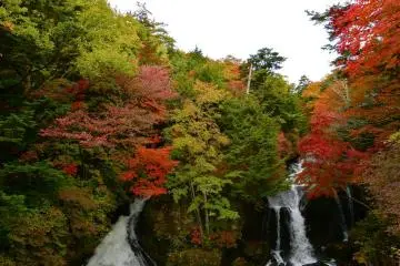 Vue frontale des cascades de Ryuzu-no-taki