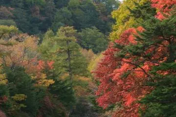 La rivière se jette dans le lac Chuzen-ji