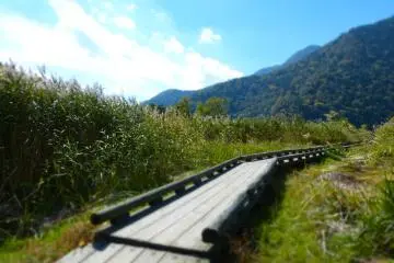 Wooden path to the lake