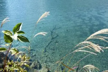 This water is crystal clear