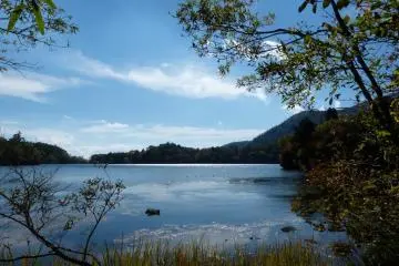 Calm and quiet lakeside