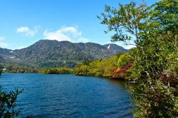 A pleasant walk along the lake