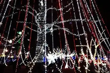 lights