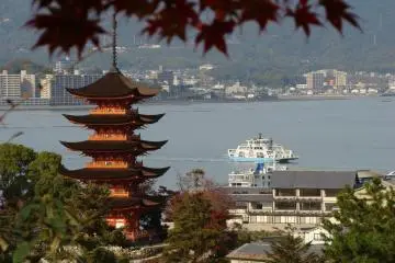 广岛 宫岛的秋天