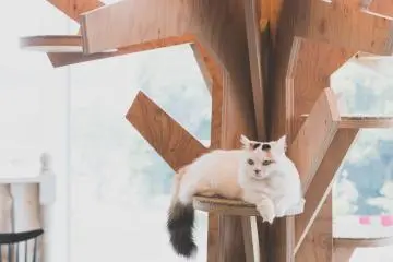 Chilling