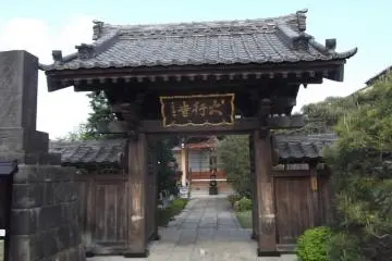The gate from the street
