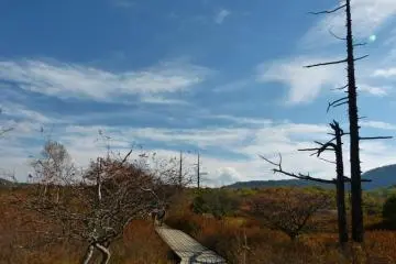 A pleasant walk under the beautiful sky