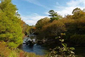 Autumn is the most gorgeous season here