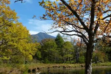 Some places are very wet and form ponds