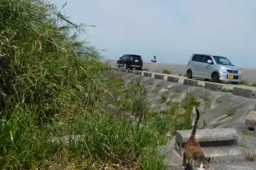Made a friend