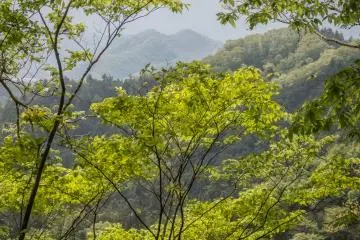 산마루 따라 전부 자연적인 풍경