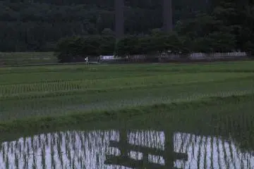 The torii gate at dusk