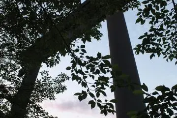 Looking up at the gate and the sunset