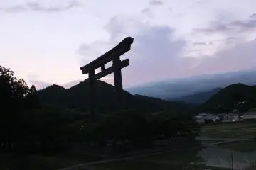 Pure beauty silhouetted against the sky