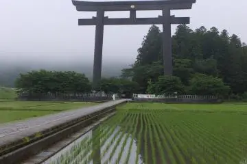 Deer often visit the area in the morning