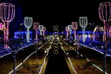 The theme park's night illuminations are many and varied - an absolute gem of a place!