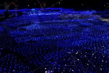LED light fields