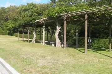 Mountain trellis