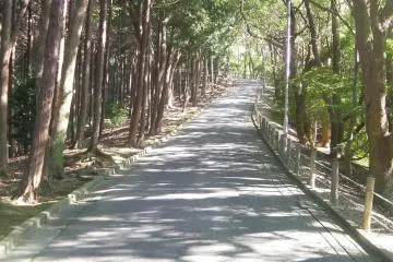 Path to the park