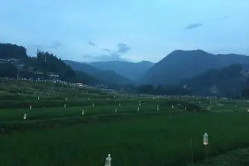 Early sunset on the terraces.