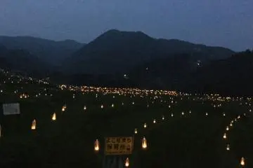 The lights look magical.