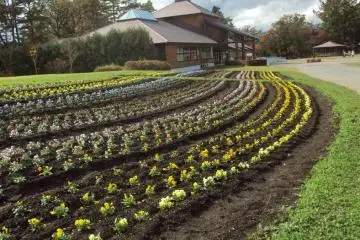 The gardens and farmland provide beautiful scenery for a stroll.