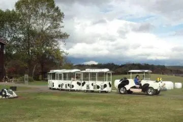 The legendary cow train transports customers, even "moo-ing" as it circles the grounds.