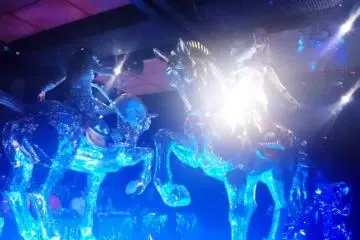 Awesome Birthday at Robot Restaurant