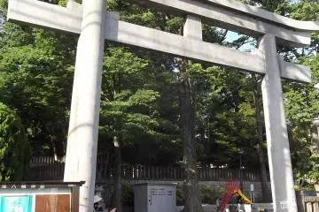 Gallery image