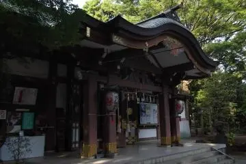 Gallery image