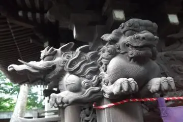 Gallery image