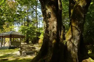Old trees and green grass give the place a stately air