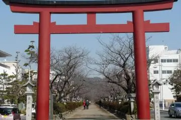 Dankazura, Kamakura